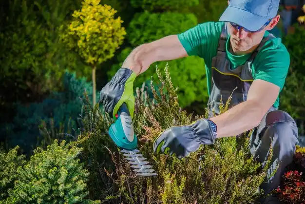 landscaping services Mingo Junction